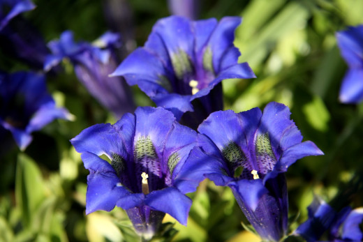 782492 (a): :2400x1601